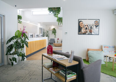 Drouin Locals: Your Dentist is Just Down the Road (And Worth the Drive)