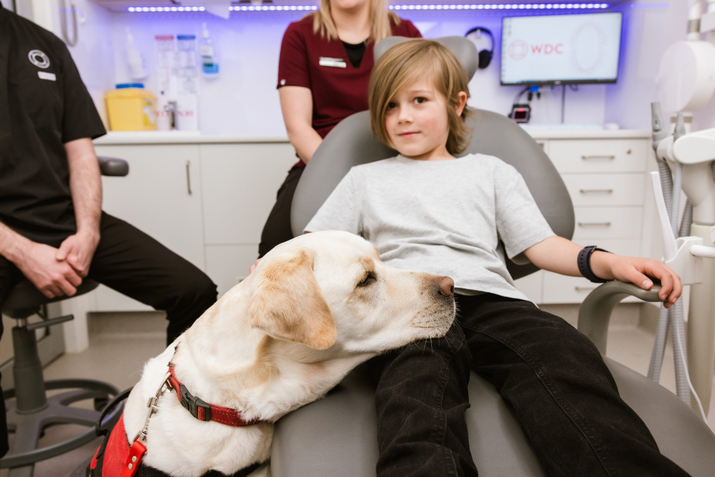 Meet Dogtor Dave: Warragul’s Favourite Dental Team Member